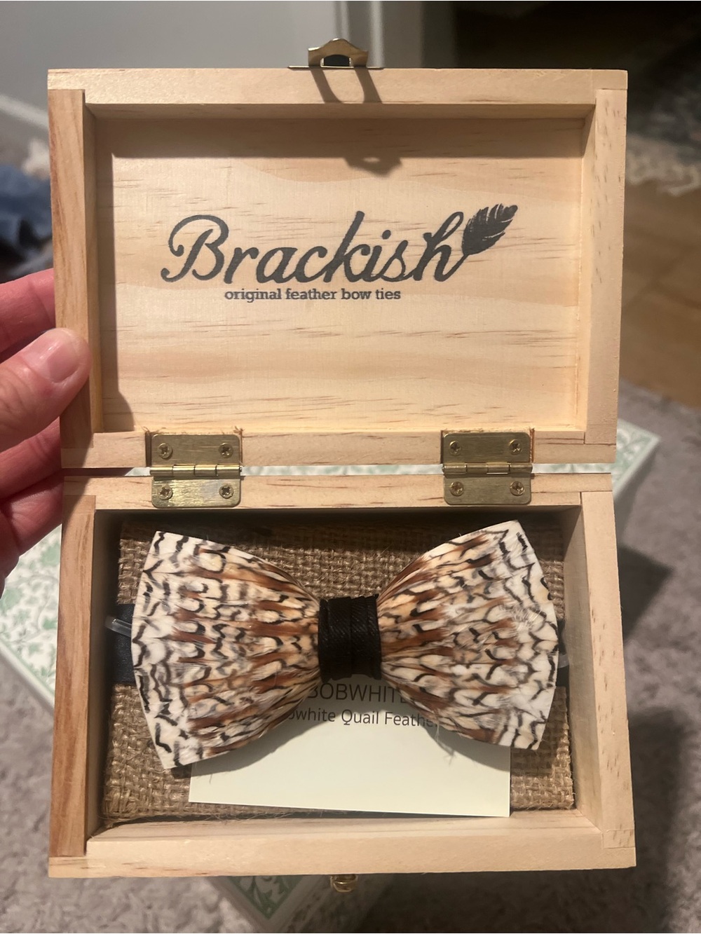Brackish Bow Tie - Bobwhite Quail